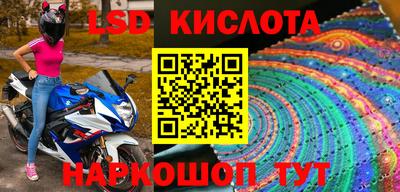 ешки Новодвинск