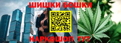 прущие крисы Новозыбков